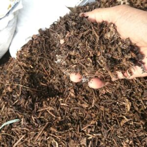 media tanaman pupuk kompos